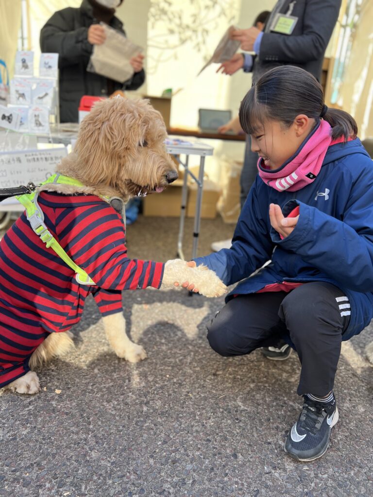 お手選手権